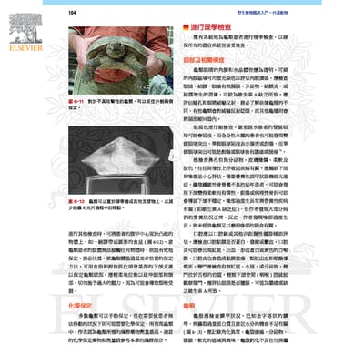《書》野生動物臨床入門：外溫動物5