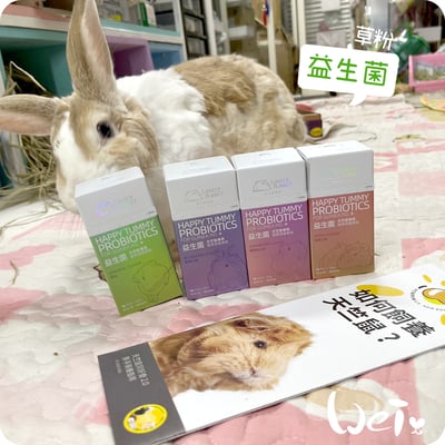 好可愛星球Lovely Planet天竺鼠益生菌 藍莓15