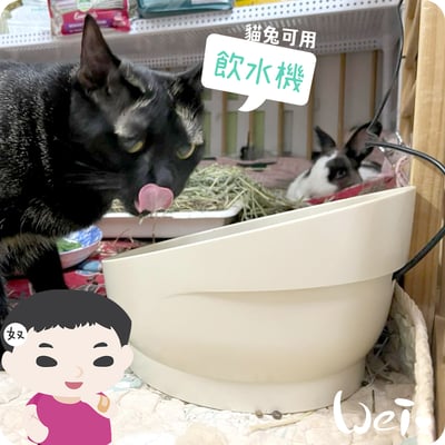 GEX渴盼循環式電動飲水器 / 飲水機 (兔可用)2