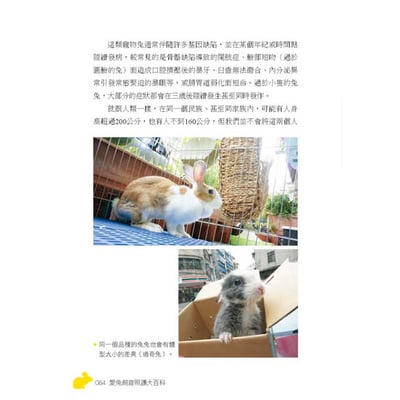 《書》愛兔飼育照護大百科 (愛兔協會出版)10