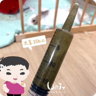 1ml / 1cc 寵物用灌食器/餵食器7
