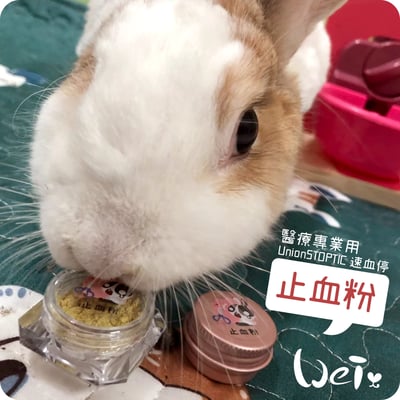 寵物用止血粉 專業用 UnionSTOPTIC 速血停 (分裝)5