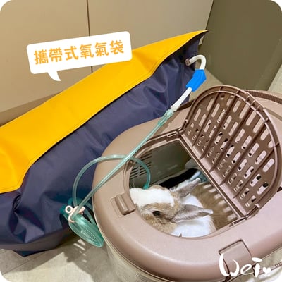 寵物用 攜帶式醫用氧氣袋8