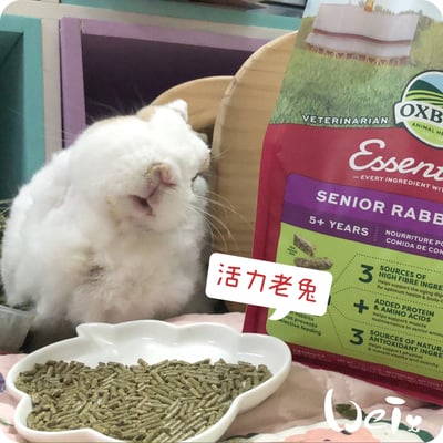 OXBOW活力老年兔維持肌力餐7