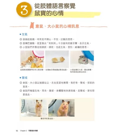 《書》愛鼠飼育大百科：常見寵物鼠品種介紹與飼養相處方法全收錄！(愛鼠協會出版)5