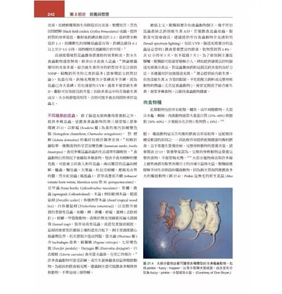 《書》Mader’s兩棲與爬蟲內外科(第3版)(上冊)6