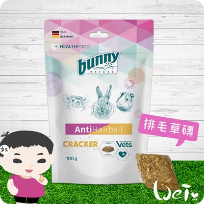 Bunny德國邦尼 排毛草磚1