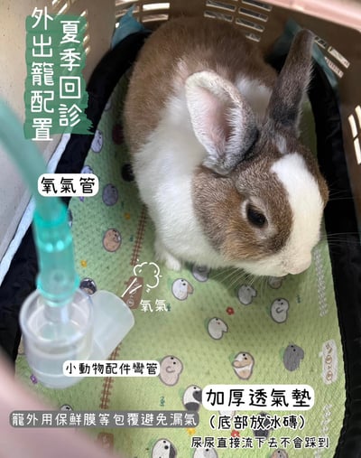 【氧氣機 / 氧氣鋼瓶配件】6米2米氧氣延長管/連接頭/小動物接氧配件管組/兒童面罩/聖誕樹接頭17