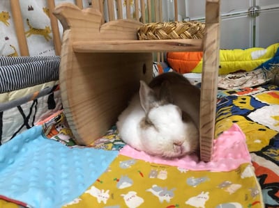 手作 - 泡泡小床毯7