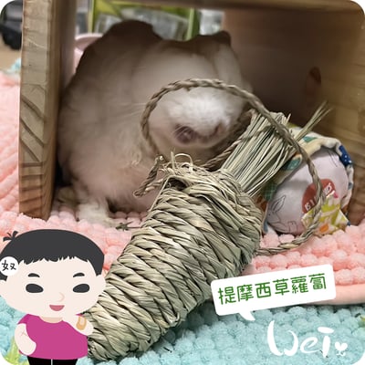 OXBOW提摩西草蘿蔔2