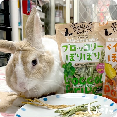 GEX健康食譜 青花菜莖7