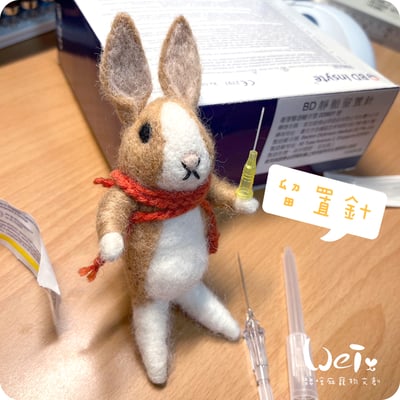 (寵物傷口沖洗用) BD-靜脈留置針 / 軟針 24G 黃色 (純介紹，網路不可販售)1