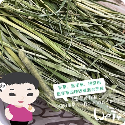 WOOLY高原的混合牧草(四種混合草)(本次貨櫃未到)11