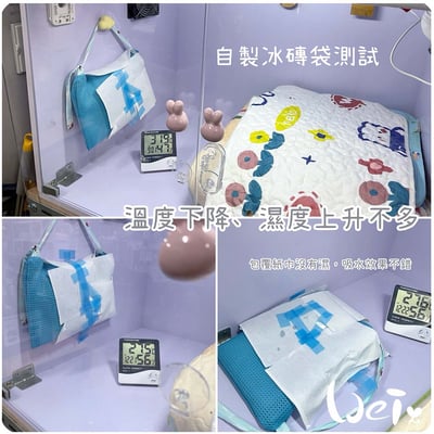 Dometic薄款長效冰磚CI-420G+手作吸濕透氣冰磚網袋8