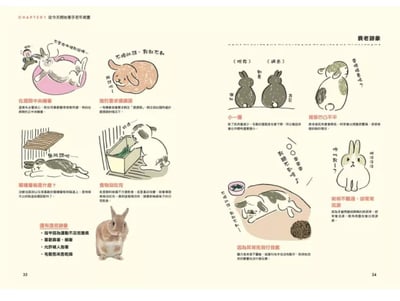 《書》兔兔的老年生活規劃 うちのうさぎの老いじたく10