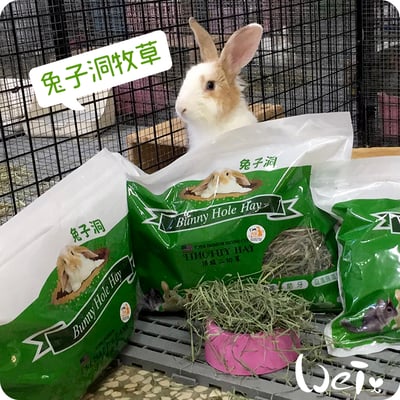 美國Rabbit Hole Hay兔子洞 一切Coarse粗纖梗多提摩西5