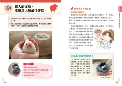 《書》文鳥的幸福飼育指南 もっと知りたい 文鳥のすべて 幸せな飼い方・接し方がわかる本5