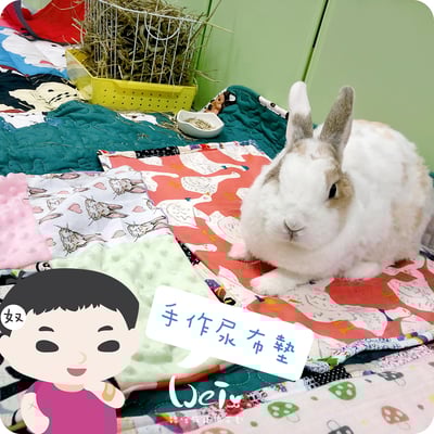 手作 - 多功能寵物吸尿床墊 / 尿布墊 / 隔尿墊9