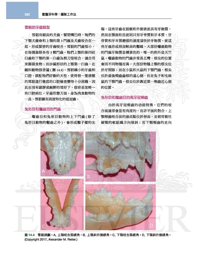 《書》獸醫牙科學(3版)6