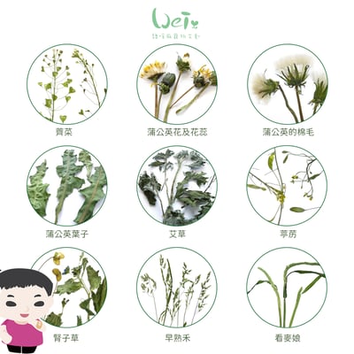 WOOLY高原的混合牧草(四種混合草)(本次貨櫃未到)3