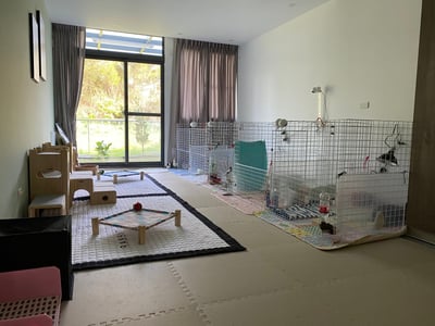 兔子私房住宿 - Cony和嘟嘟家 (新竹)3