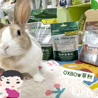 OXBOW木瓜極細灌食草粉11