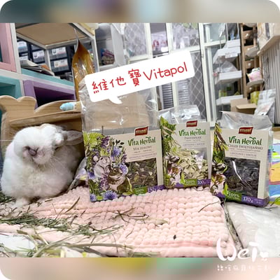 Vitapol維他寶 磨牙角豆(特價)17