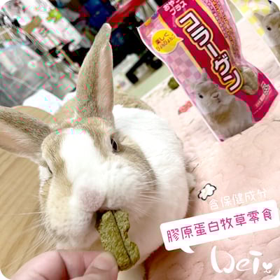 日本 HI-PET 膠原蛋白牧草零食2