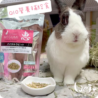 日本 HI-PET 惠 Q10 營養補給食 (MEGUMI)9