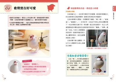 《書》文鳥的幸福飼育指南 もっと知りたい 文鳥のすべて 幸せな飼い方・接し方がわかる本4