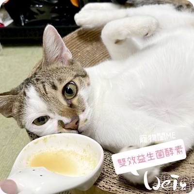 寵物閨Me 雙效益生菌酵素7