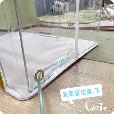 110L折疊全透明寵物氧氣箱-吸氧箱/噴霧箱/霧化箱14
