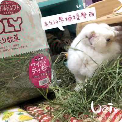 WOOLY高原的早摘提摩西幼割 (本次貨櫃未到)12