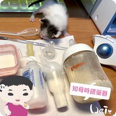 知母時餵藥器(擠壓式) /奶貓 / 兔子天竺鼠等寵物灌食泥狀食物(台灣製)2