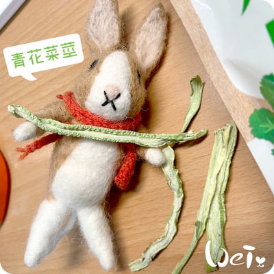 GEX健康食譜 青花菜莖2