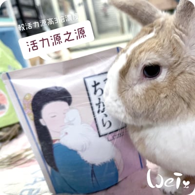 WOOLY 活力源之源7