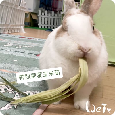 乾燥帶葉帶殼玉米筍8