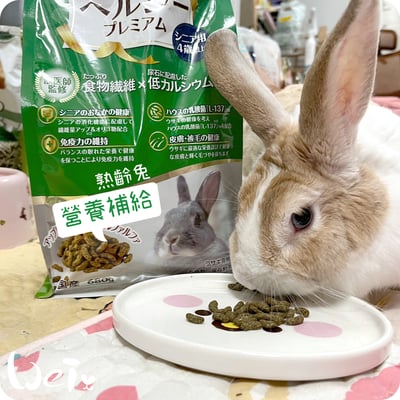 日寵老兔營養補給兔糧(4歲以上)7