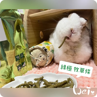 日本 HI-PET 綠極牧草條 (KIWAMI 極)2