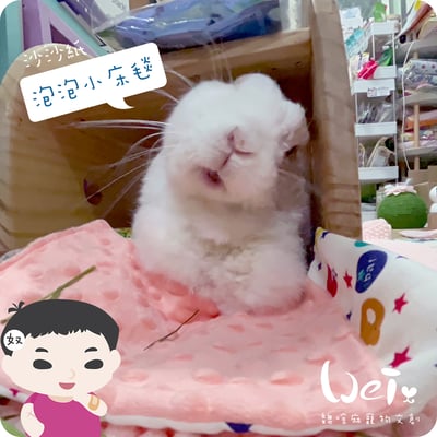 手作 - 泡泡小床毯 (沙沙響紙)6