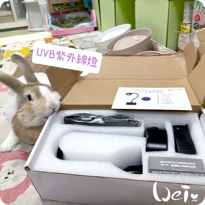 LED紫外線燈 311納米窄譜UVB燈 (陽光維生素D3好幫手)5