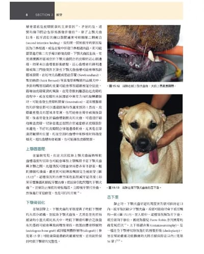 《書》犬貓口腔與上頜顏面外科，第二版17