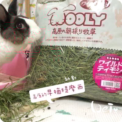 WOOLY高原的早摘提摩西幼割 (本次貨櫃未到)13