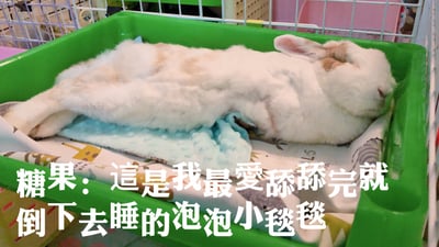 手作 - 泡泡小床毯5