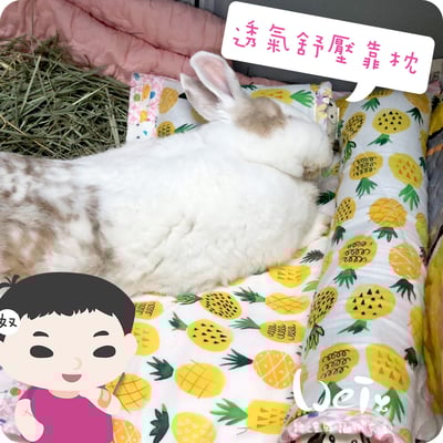 手作 - 我就靠你了! 透氣舒壓靠枕/枕頭4