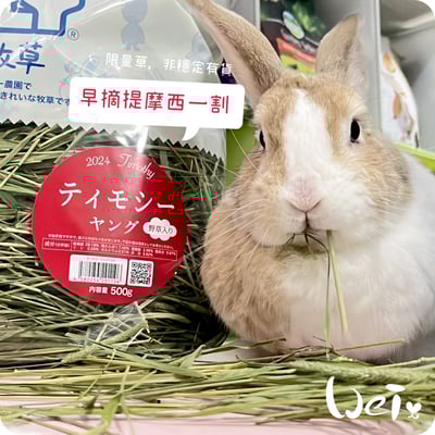 WOOLY高原的早摘提摩西一割(本次貨櫃未到)1