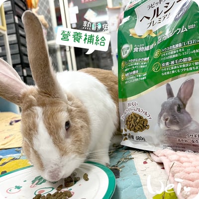 日寵老兔營養補給兔糧(4歲以上)4