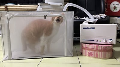 【新北板橋-租借】寵物用 京華KUN-868超音波噴霧機(霧化機) (長短期租賃)17