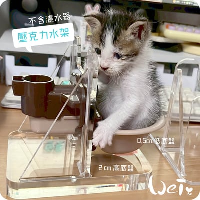 高低底盤 透明壓克力水碗架 / 飲水神器架 / 飲水器支架 /水架 (贈送 喝水小標語貼紙)8