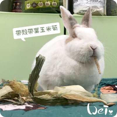 乾燥帶葉帶殼玉米筍7